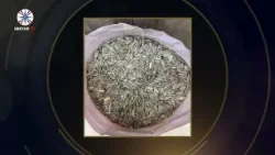 حلقة جديدة من شذرات الموصل القديمة الكرزات في الموصل حلقة جديدة من شذرات الموصل القديمة الكرزات في الموصل