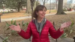 Your City, This Week: March 2: Tuesdays at Nash Square. Plus, an animal adoption event! Your City, This Week: March 2: Tuesdays at Nash Square. Plus, an animal adoption event!