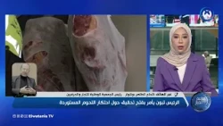 President Tebboune Orders Investigation into Monopoly of Imported Meat