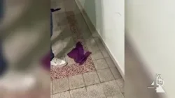 Forum dei giovani, le piogge mettono k.o. la struttura: necessari interventi strutturali Forum dei giovani, le piogge mettono k.o. la struttura: necessari interventi strutturali