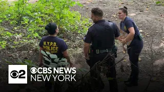 Man wanted for trying to sexually assault woman in Prospect Park, NYPD says