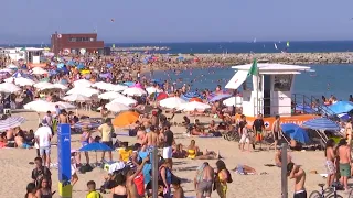 Les conseqüències de l'onada de calor