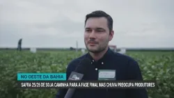 Safra 25/26 de soja caminha para a fase final, mas chuva preocupa produtores da BA Safra 25/26 de soja caminha para a fase final, mas chuva preocupa produtores da BA