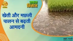 Safal Kisan: खेती और मछली पालन से बढ़ती आमदनी | DD kisan | 27/02/2026