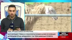 Αφθώδης πυρετός: 8 χιλιάδες δοσεις εμβολιασμών μέχρι τώρα - Συνεχίζονται οι δειγματοληψίες Αφθώδης πυρετός: 8 χιλιάδες δοσεις εμβολιασμών μέχρι τώρα - Συνεχίζονται οι δειγματοληψίες