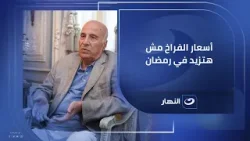 استيراد الدواجن يضر المربيين والأسعار مش هتزيد في المزرعة