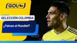 ¿Cuántos minutos de juego acumula Falcao García con Millonarios en Liga?