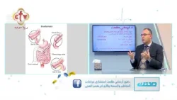 إزاي بنحدد نوع الجراحة حسب حالة ورم القولون؟ هل مكان الورم بيفرق في نوع العملية؟ | صحتك إزاي بنحدد نوع الجراحة حسب حالة ورم القولون؟ هل مكان الورم بيفرق في نوع العملية؟ | صحتك