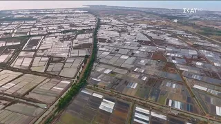 ECO NEWS BY ΔΕΗ | 22/08/2026