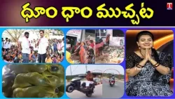 BRS Josh In Municipal Campaign | Revanth Reddy Caste Politics|| Dhoom Dhaam Muchata | T News