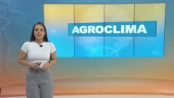 Tempo estável no Sul e chuva intensa em outras regiões nesta segunda I 05/01/2026