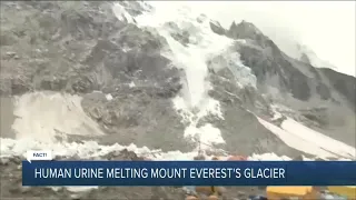 Fact or Fiction: Human Urine Melting Mount Everest's Glacier?