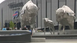Fans to be greeted by herd of bison outside new stadium