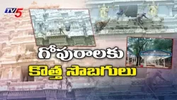 తిరుమల గోపురాలకు కొత్త సొబగులు | Tirumala Tirupati Devasthanam | BR Naidu | TV5 News