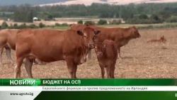 БЮДЖЕТ НА ОСП: Европейските фермери са против предложението на Ирландия