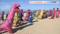 恐竜の着ぐるみを着て競争「ティラノサウルスレース」2歳～80代まで103人が参加　和歌山・扇ヶ浜海水浴場（2026年10月18日）
