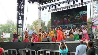 Festival of Nations returns to Tower Grove Park with record vendor turnout
