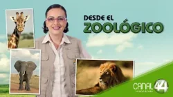 Desde el Zoológico | Revisando la ruta