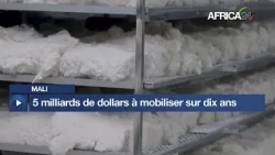 Mali : 10% de coton à transformer localement