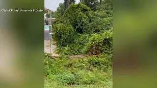 Flash flooding strikes city in South Carolina