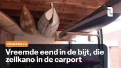 Óngerwaeg bewaart een zeilkano onder een carport in Nieuwstadt