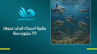 اكتشاف مذهل في قلب الصحراء الغربية مقبرة لأسماك قرش يعود عمرها لأكثر من 70 مليون سنة