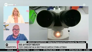 Ιός Δυτικού Νείλου: Πού οφείλεται η φετινή έξαρση στην Αττική