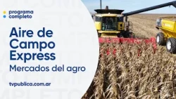 Agribusiness Markets: What are they about? - Aire De Campo Express