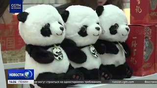 International Book Fair Underway in Moscow
