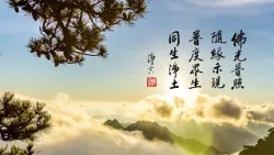 淨空老法師｜大經專修（二）｜隨緣變化，饒益眾生-第0205集