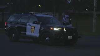 Deadly stabbing at McClatchy Park under investigation