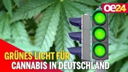 Grünes Licht für Cannabis in Deutschland