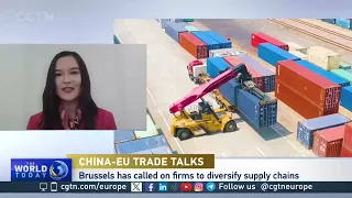What Outcomes Do Businesses Hope for in China-EU Talks?