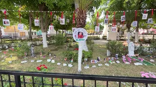 Colectivo de búsqueda crea "Árbol de la Memoria" en la Plazuela República
