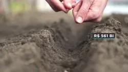 Cédulas de produto rural totalizam R$ 561 bilhões em fevereiro | Giro de Notícias