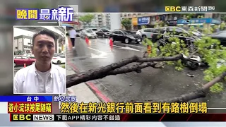 最新》台中文心路路樹突倒「砸2車」 騎士受傷急送醫@newsebc