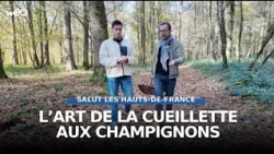 On vous révèle nos coins à CHAMPIGNONS !