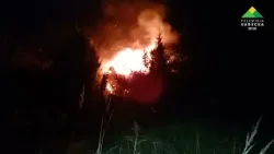 Podpalenie altanek w Bielawie