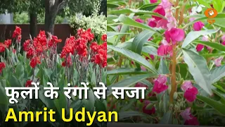 Summer Annuals Edition-2026 में फूलों से सजा अमृत उद्यान | Samachar in Sign language | DD News