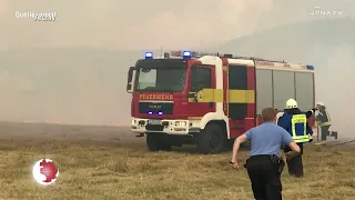 Waldbrandgefahr – Verwaltung und Feuerwehr mahnen zur Vorsicht