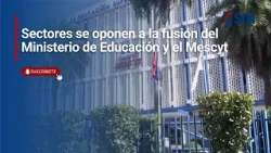 Sectores se oponen a la fusión del Ministerio de Educación y el Mescyt