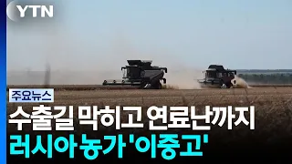 Export Routes Blocked and Fuel Shortages... Russia's Farmers Face a 'Double Whammy' / YTN