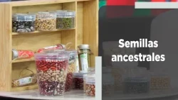 Ancestral Seeds: Living Memory of Our People