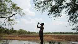Sri Lanka: Brunnen versiegen, Wasserstellen schrumpfen in Dürre