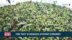 Ελαιοκομική περίοδος με δύο πρόσωπα – Αισιοδοξία για την παραγωγή