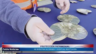25 SEP 2026 Aduanas detectó 222 fósiles de amonites en contenedor en San Antonio