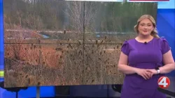 Grand Island land project draws strong local leader reactions Grand Island land project draws strong local leader reactions