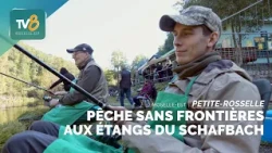 Petite-Rosselle: Fishing Without Borders at the Schafbach Ponds
