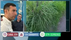 MALDONADO YONNA, SEC. DE SERVICIOS MCC  - MULTAS POR ARROJAR BASURA EN ESPACIO Y HORARIO INADECUADOS