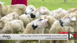 انطلاق عملية تسمين قطيع الماشية تحت إشراف مهندسي الغرف الفلاحية استعدادا لعيد الأضحى